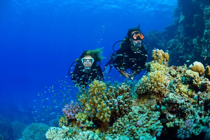 Full-Day Racha Yai Private Scuba Diving Course from Phuket - Image 2