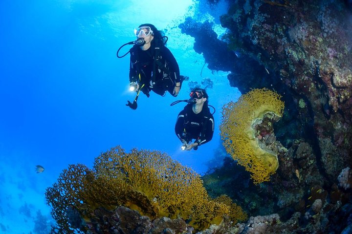 Full-Day Racha Yai Private Scuba Diving Course from Phuket - Image 4