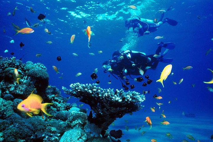 Full-Day Racha Yai Private Scuba Diving Course from Phuket - Image 1