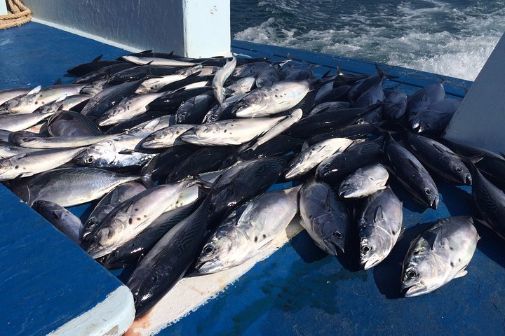 Game Fishing and Trolling around Phuket - Image 3