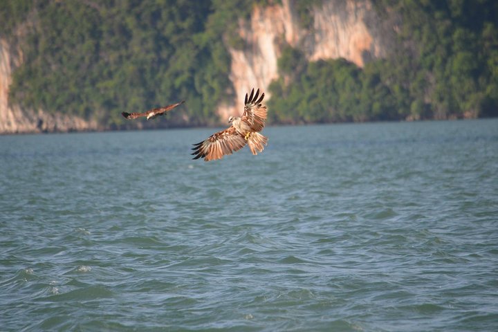 John Gray's Adventure Hong by Starlight in Phang Nga Bay - Image 4