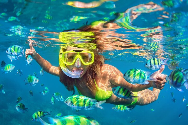 Phi Phi & Bamboo Islands Snorkeling Trip w/ Lunch by Speedboat - Image 5