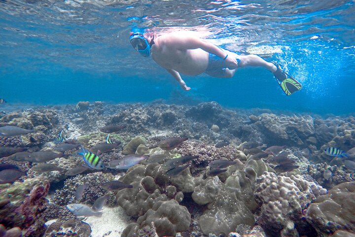 Phi Phi Islands Adventure Day Trip with Seaview Lunch by V. Marine Tour - Image 3