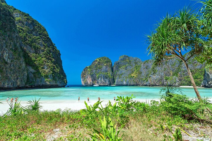 Phi Phi Islands and Bamboo Island Private One-day Tour - Image 2
