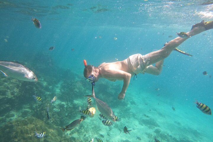 Phi Phi Islands Sunrise 20 Passenger Tour by V.Marine Tour - Image 3