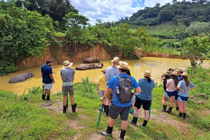 Phuket Best: City Tour & Elephant Park Experience  - Image 3