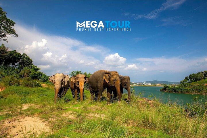 Phuket Best: City Tour & Elephant Park Experience  - Image 1