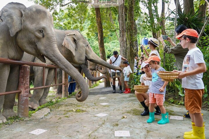 Phuket Best: City Tour & Elephant Park Experience  - Image 5
