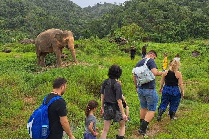 Phuket Best: City Tour & Elephant Park Experience  - Image 2
