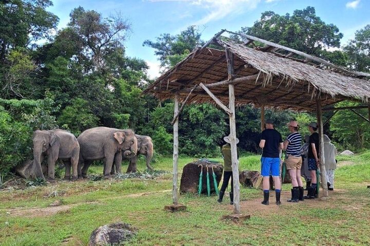 Phuket Best: City Tour & Elephant Park Experience  - Image 4