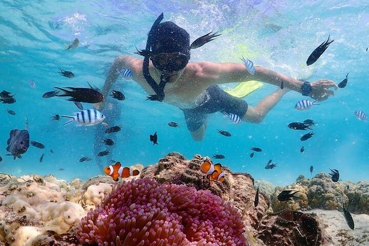 Phuket Fullday Fabulous Snorkeling Spot of Surin Fisherman Village by Speed Boat - Image 3