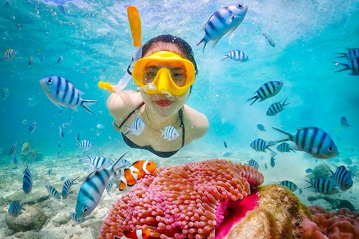 Phuket Fullday Fabulous Snorkeling Spot of Surin Fisherman Village by Speed Boat - Image 1