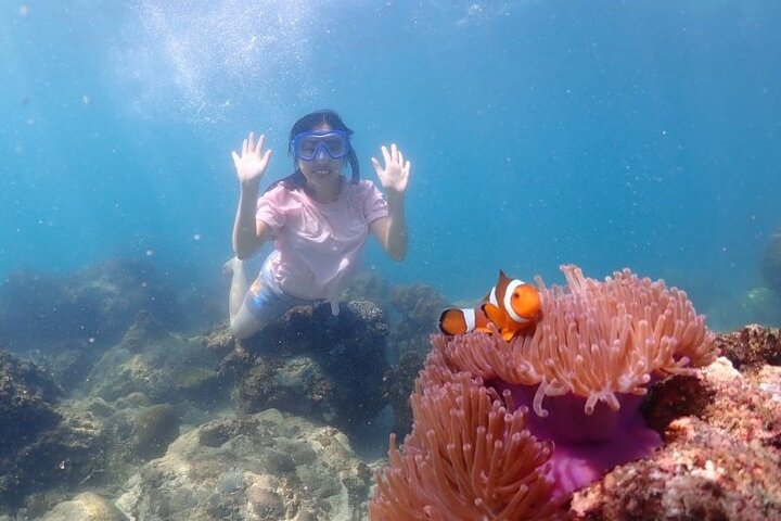 Phuket Fullday Fabulous Snorkeling Spot of Surin Fisherman Village by Speed Boat - Image 5
