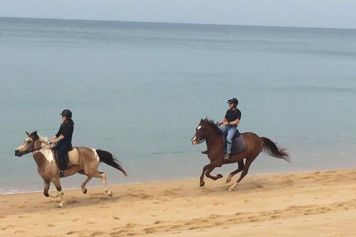 Phuket Horse Riding Club - Image 4