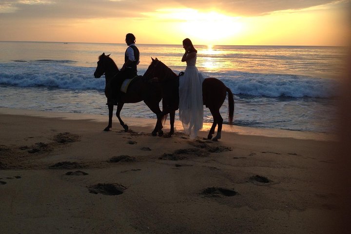Phuket Horse Riding Club - Image 2
