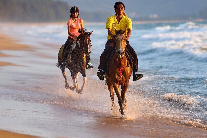 Phuket Horse Riding Club - Image 3