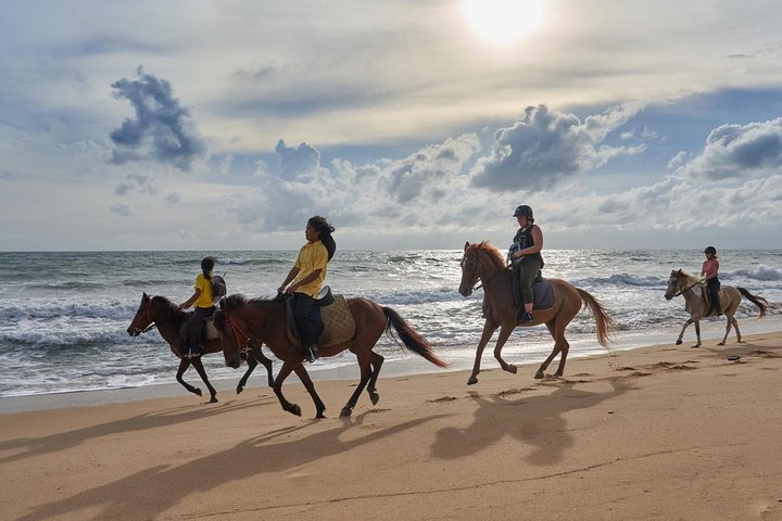 Phuket Horse Riding Club - Image 1