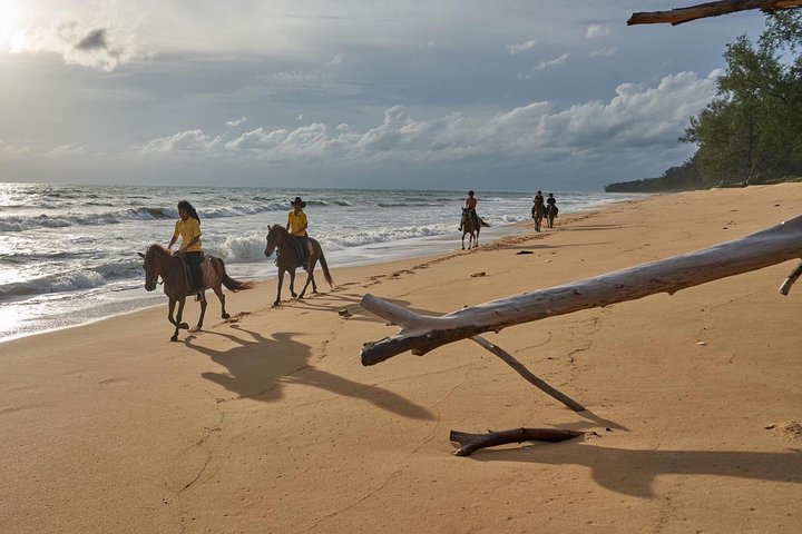 Phuket Horse Riding Club - Image 5