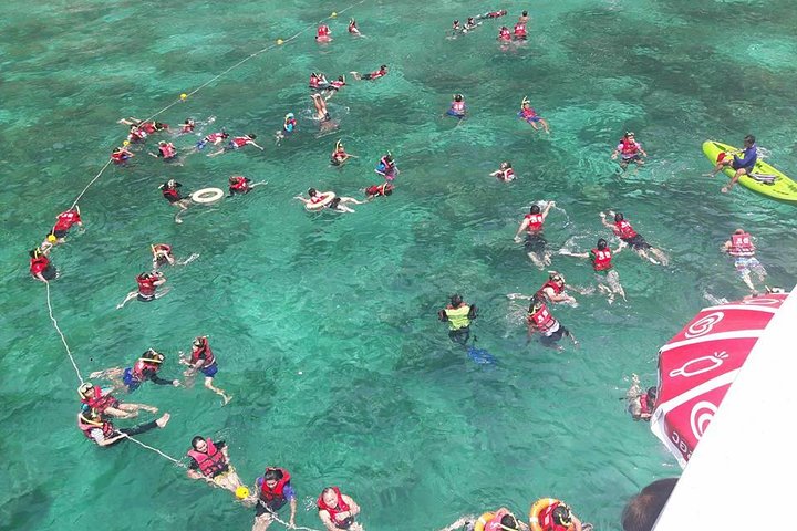 PHUKET-Phi Phi Island-Khai Island-Lunch by Sea Angel Speed Boat - Image 4