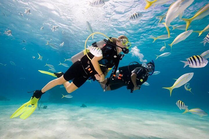 Phuket Scuba Diving and Snorkeling Offshore 2 Islands Full-Day by Speed Boat - Image 3