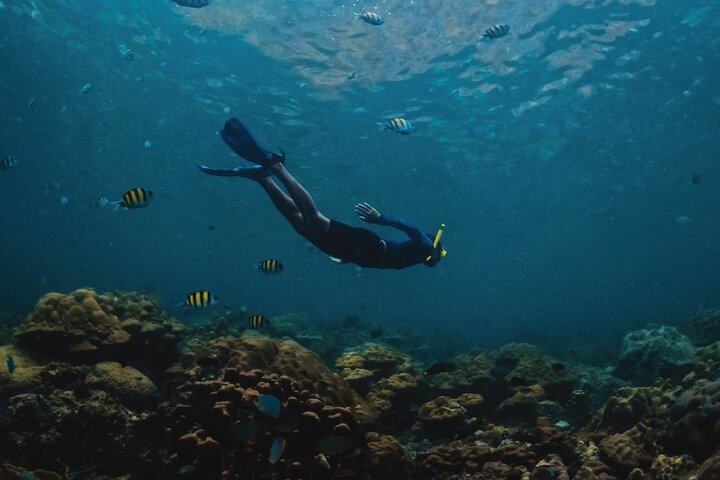 Phuket:Phi Phi Island day trip by cruise with Hotel Transfer - Image 3