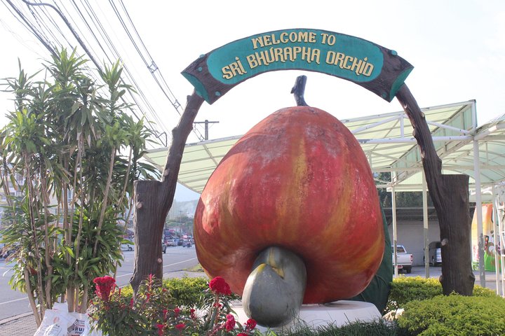Private local city tour with english speaking driver - Image 3