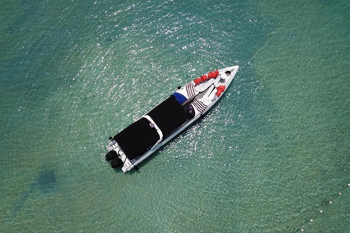 Private Phi Phi Islands Sunrise Tour Speedboat Charter - Image 2