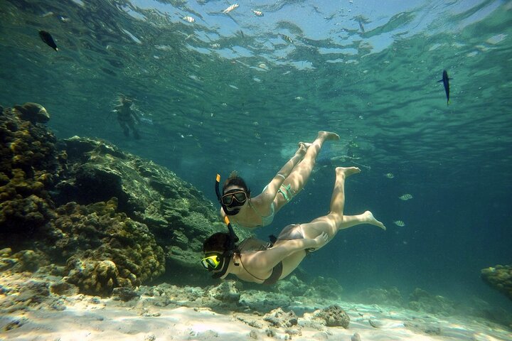 Private Speedboat Maiton, Racha, and Coral Islands Tour from Phuket - Image 4