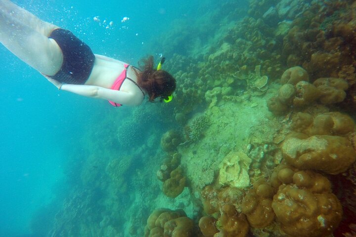 Private Speedboat Maiton, Racha, and Coral Islands Tour from Phuket - Image 3