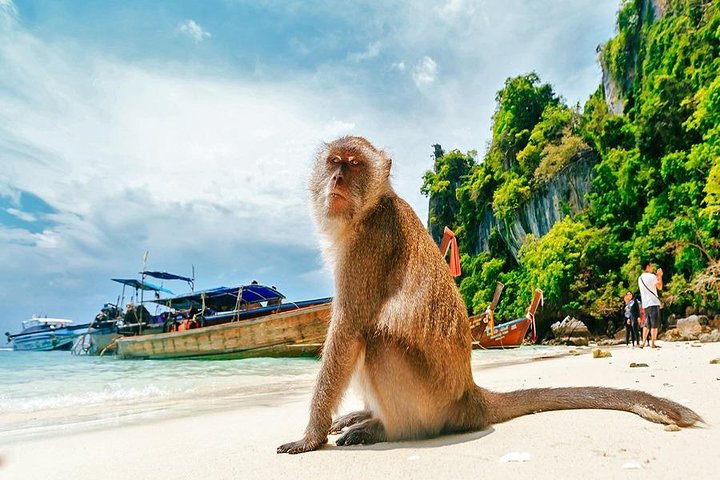 Private VIP Speed Boat to Phi Phi Island - Image 4