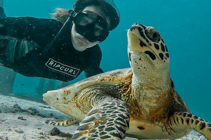 Similan Islands Private Tour - Image 1
