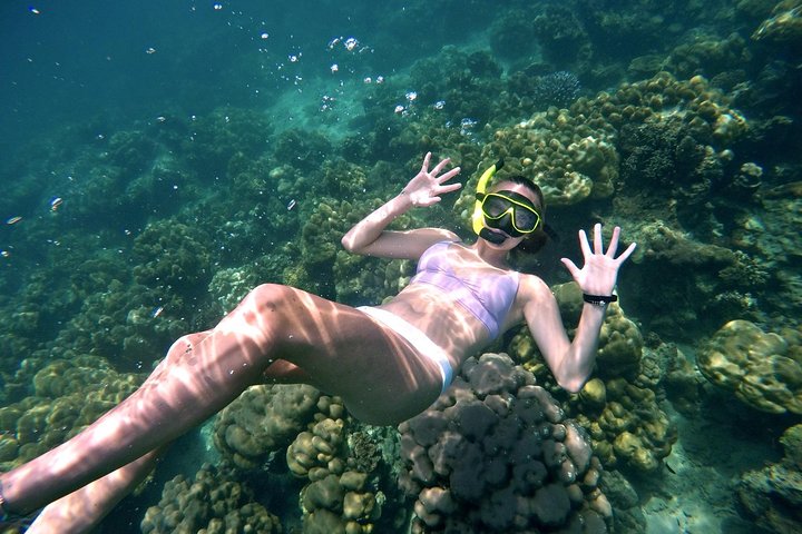 Small Group Only 20 People - Phi Phi & Bamboo Islands and Maya Bay with Lunch - Image 5