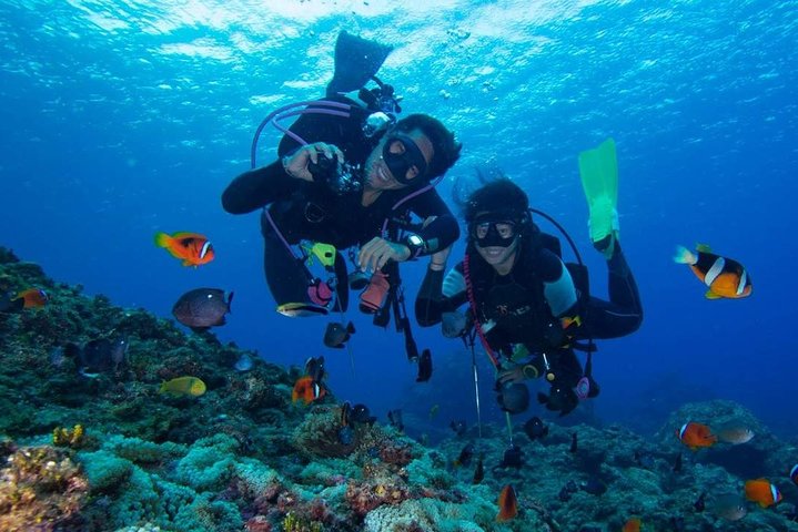 SSI | Padi Open Water Course in Phuket - Image 2