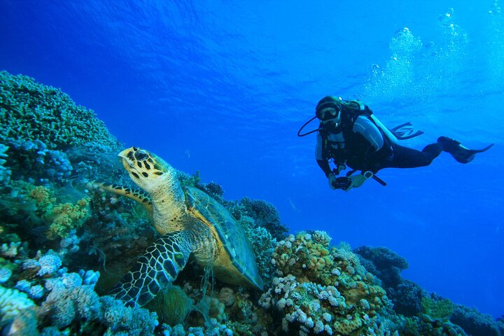 SSI | Padi Open Water Course in Phuket - Image 3