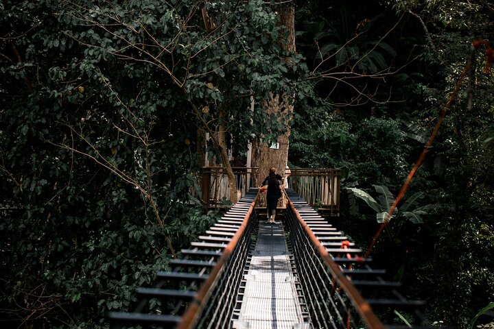 World B+ (Zipline 18 Platforms + Roller + Sky Walk with World Set Menu ) - Image 5