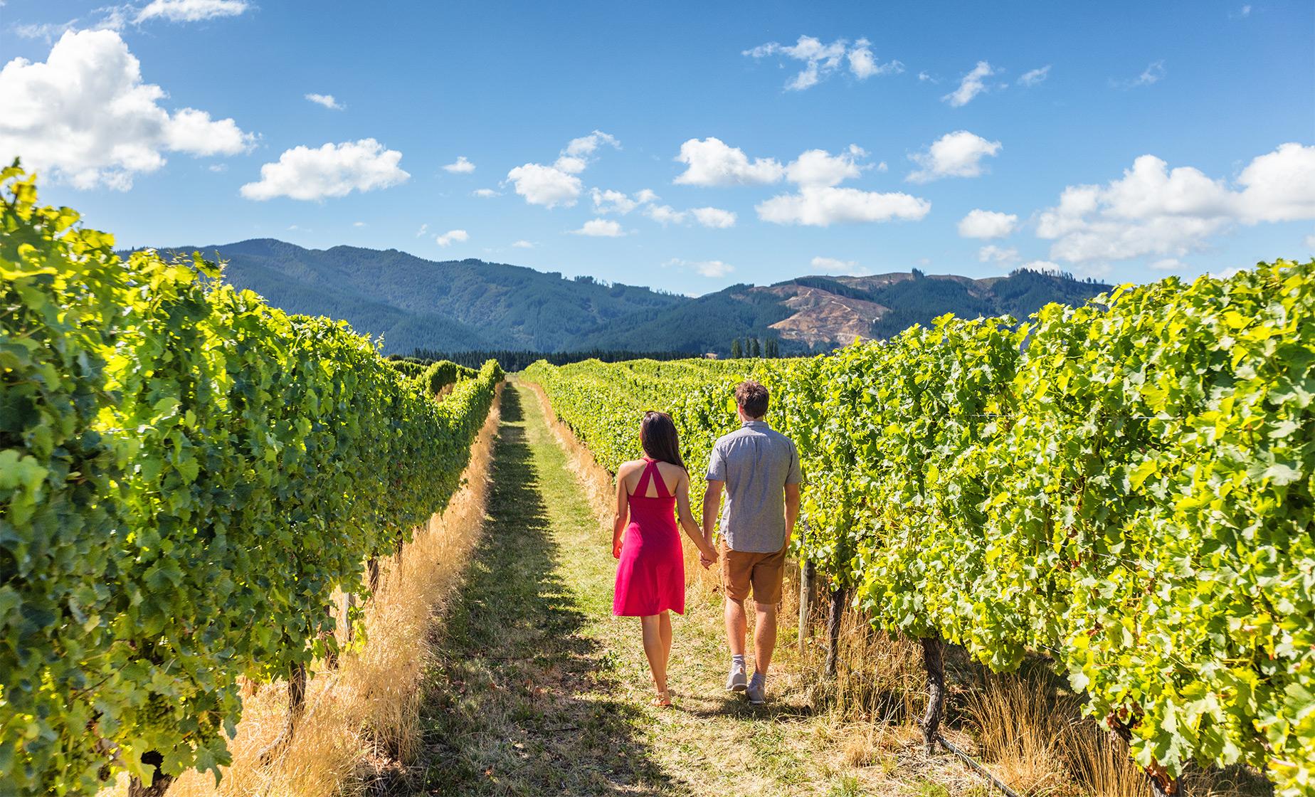 The Wines of Marlborough Private Tour - Image 1