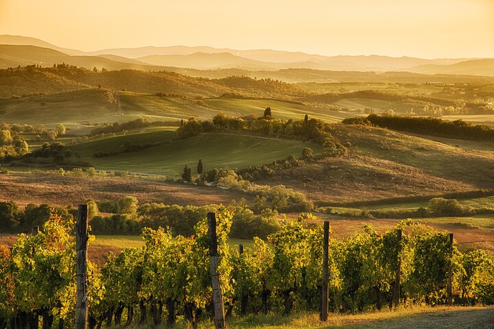 Chianti Classico Full Day Private Wine Tour - Image 4