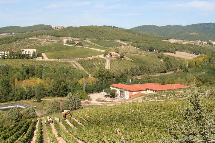 Chianti Region and San Gimignano including wine tasting and light lunch - Image 2