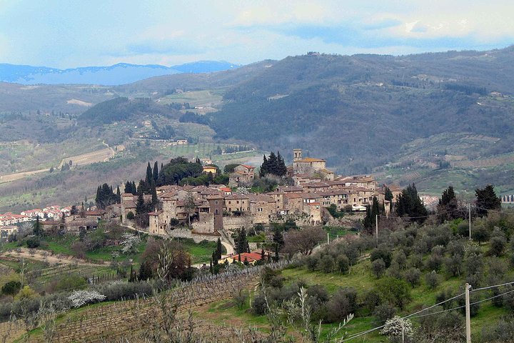 Chianti Region and San Gimignano including wine tasting and light lunch - Image 3