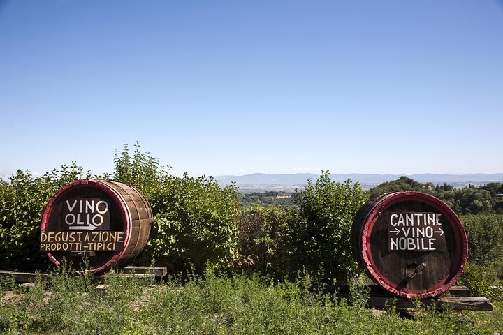 Chianti Region and San Gimignano including wine tasting and light lunch - Image 1