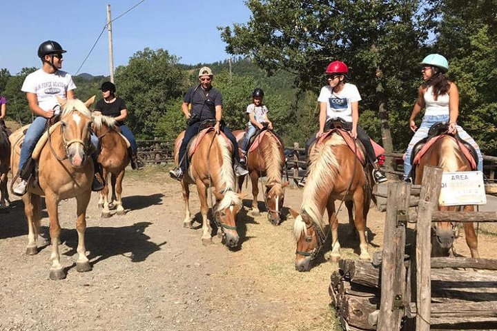 Horse ride in the Mugello (transfer from / to Florence) and Tuscan aperitif - Image 2