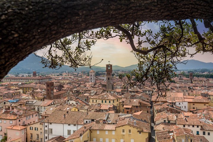 Private car trip to Lucca and Pisa from Florence (8 h) - Image 3