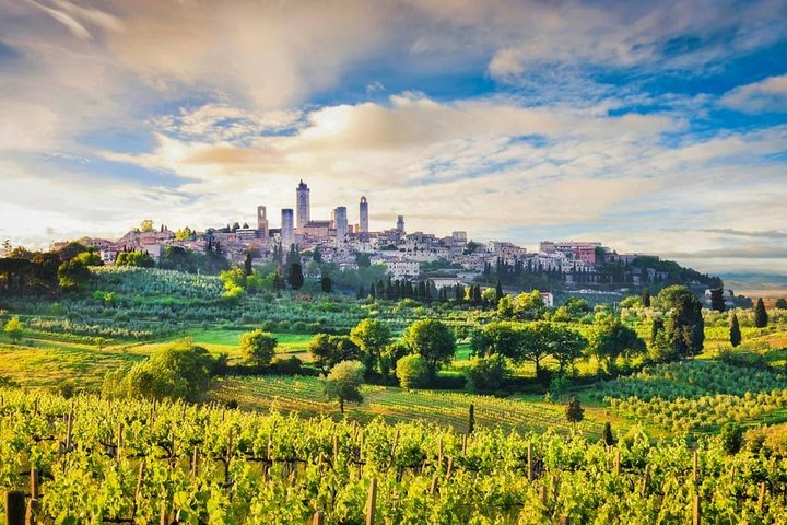 Private car trip to Siena and San Gimignano from Florence (8 h) - Image 5