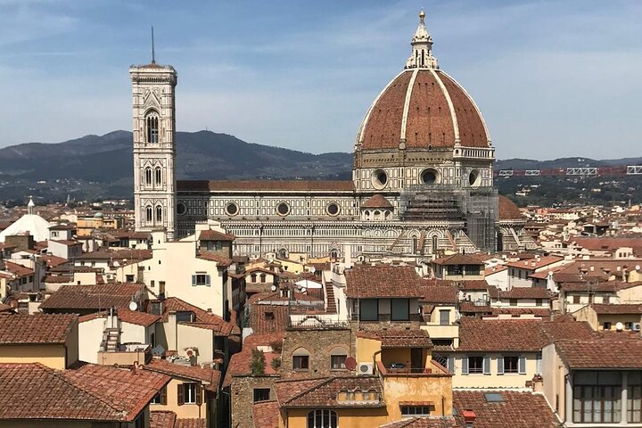 Private educational and guided custom tours by walk and by confortable M/B van - Image 3