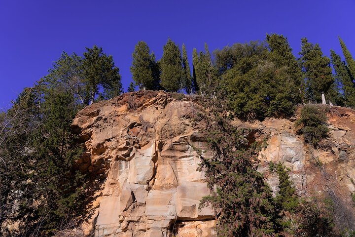 Private Experience Hiking Activity in Fiesole - Image 4
