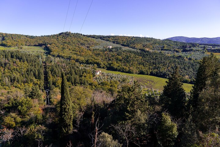 Private Experience Hiking Activity in Fiesole - Image 3