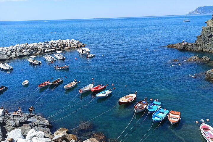 Private Tour: "Visit Wonderland Cinque Terre" in one day - Image 3