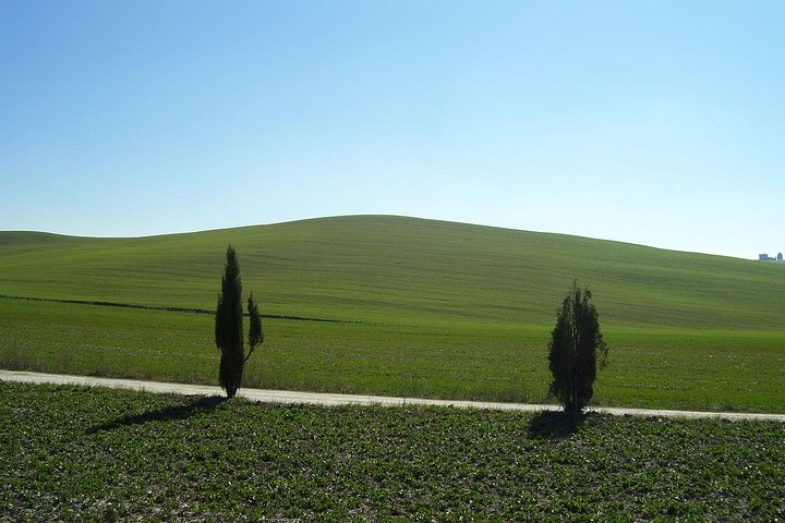 Private VIP Exclusive Tour to Siena and San Gimignano with Wine Tasting & Lunch - Image 2