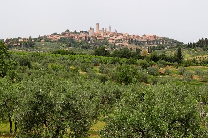 Private VIP Exclusive Tour to Siena and San Gimignano with Wine Tasting & Lunch - Image 1