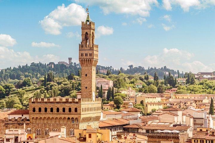 Shore excursion from Livorno port to Pisa and Florence with Drive Guide - Image 3